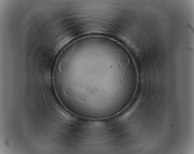 X0000091351113200708241240
