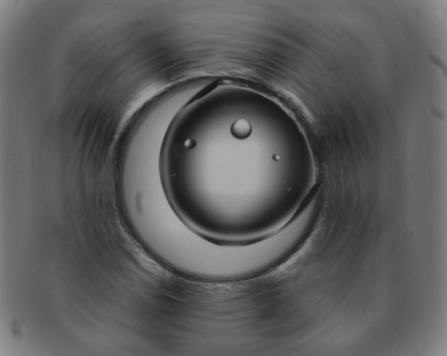X0000091351114200708241240