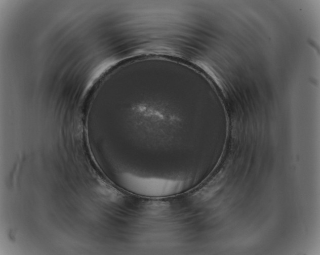 X0000091351115200708241240