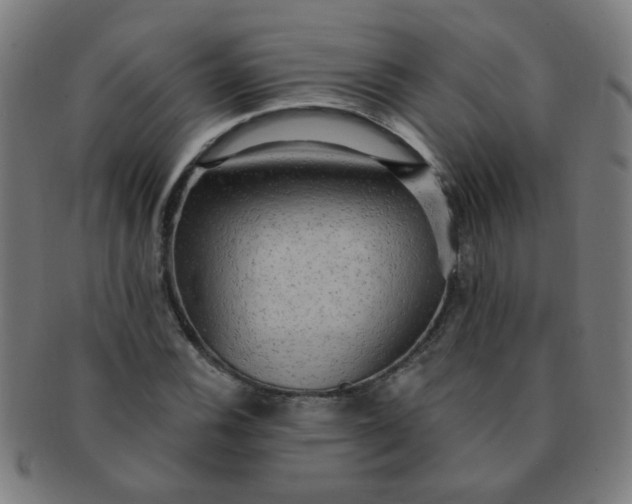 X0000091351116200708241240