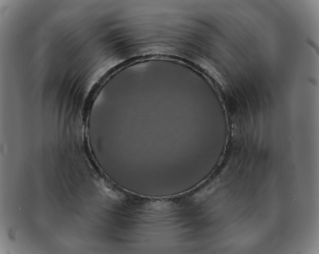 X0000091351117200708241240