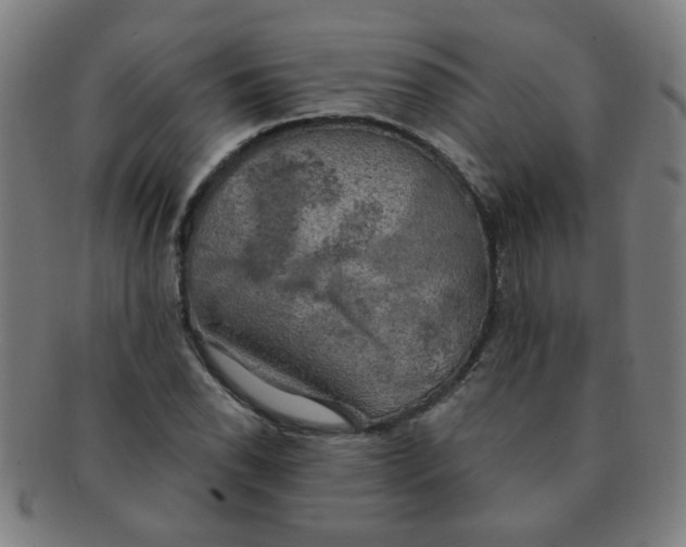 X0000091351118200708241240