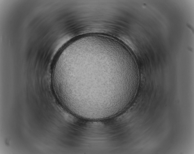 X0000091351119200708241240