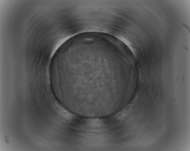 X0000091351120200708241240
