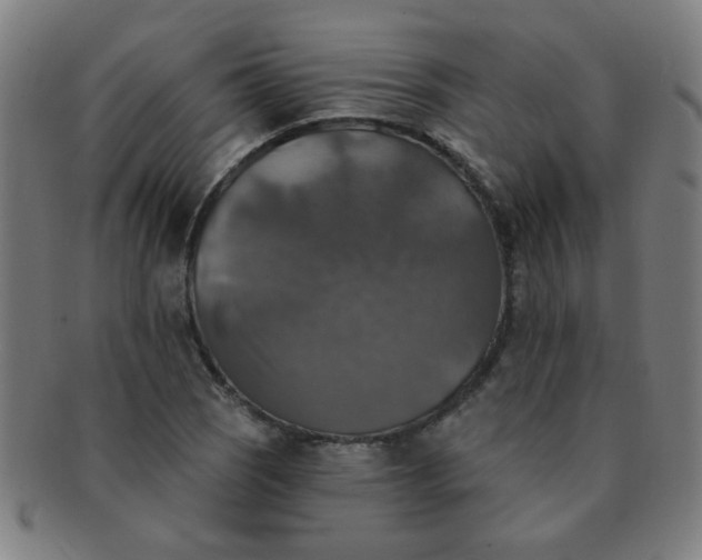 X0000091351121200708241240