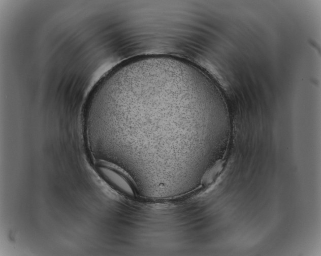 X0000091351122200708241240