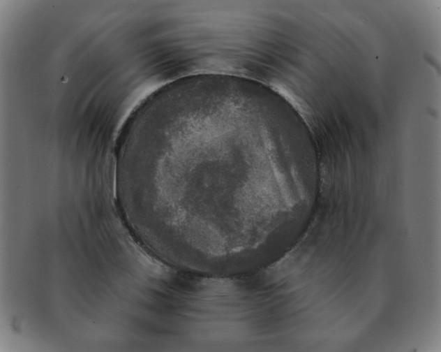 X0000091351123200708241240