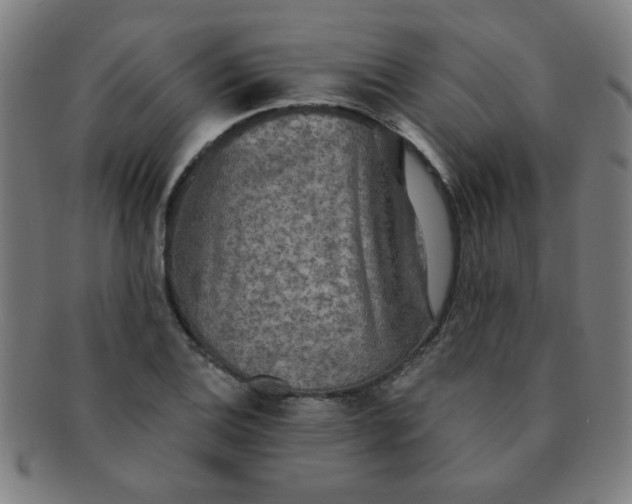 X0000091351124200708241240