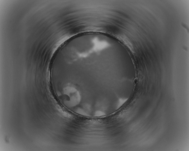 X0000091351125200708241240