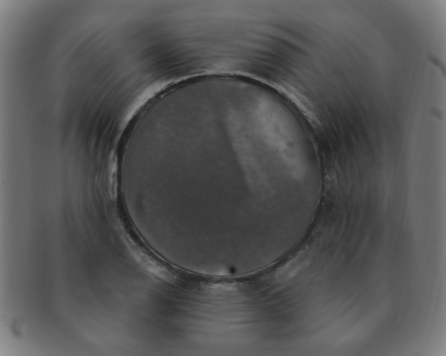 X0000091351126200708241240