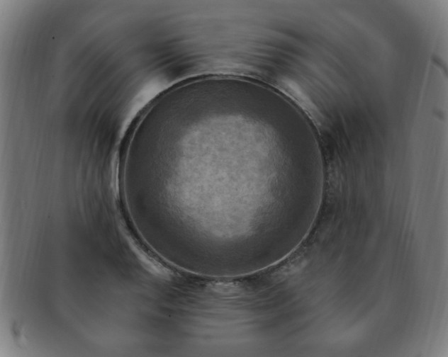 X0000091351128200708241240