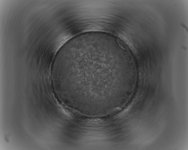 X0000091351129200708241240