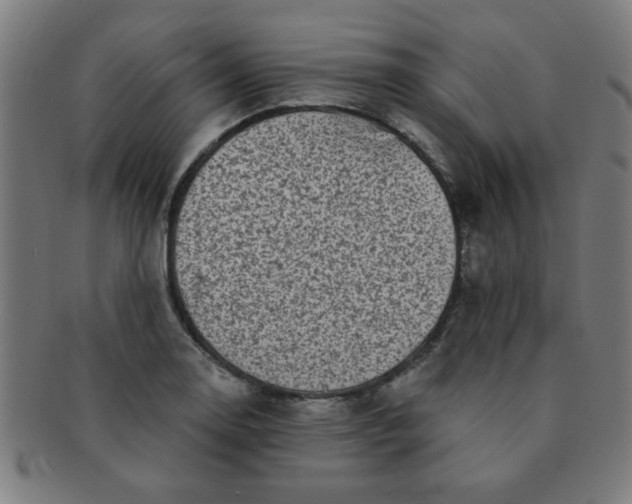 X0000091351130200708241240