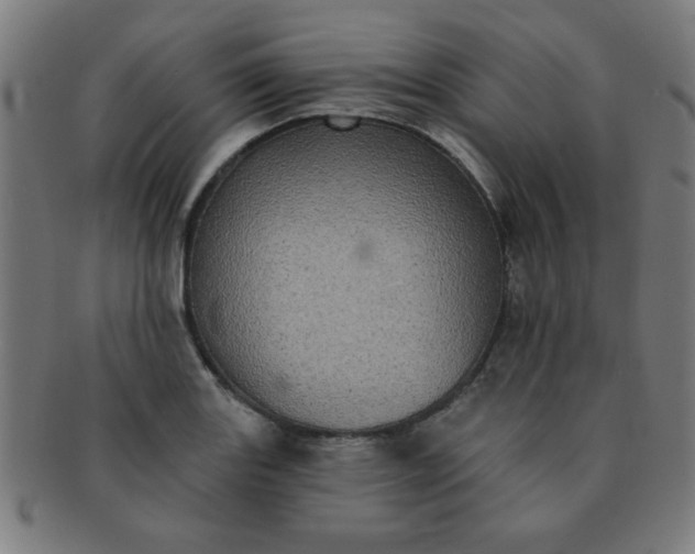 X0000091351131200708241240