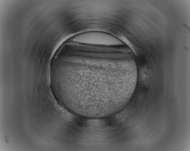 X0000091351132200708241240