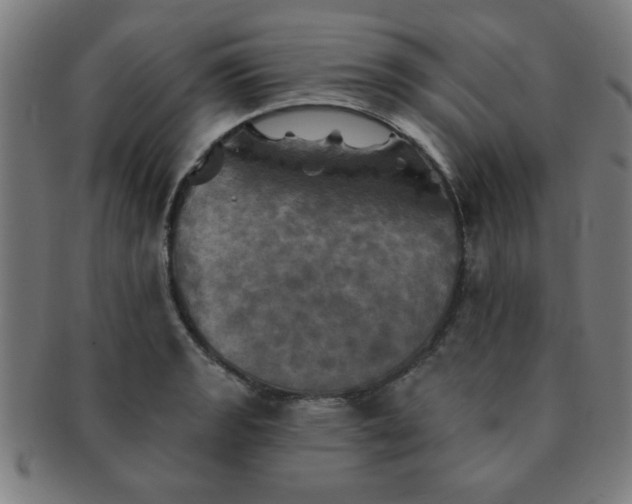 X0000091351133200708241240