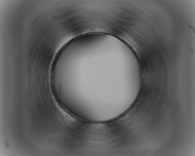 X0000091351135200708241240