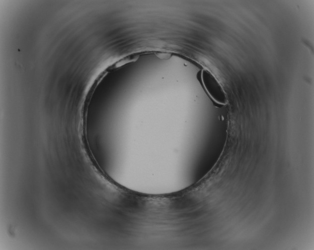 X0000091351136200708241240