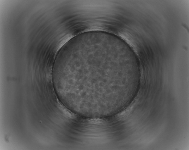 X0000091351137200708241240