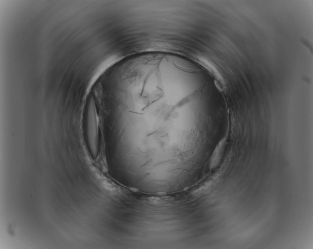 X0000091351138200708241240