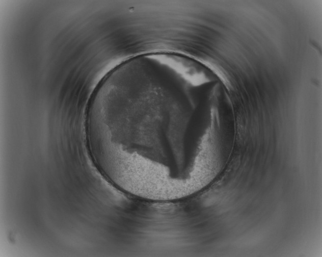 X0000091351142200708241240
