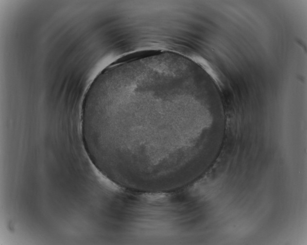 X0000091351143200708241240