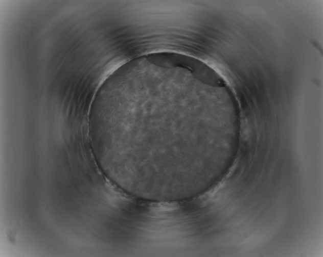 X0000091351145200708241240