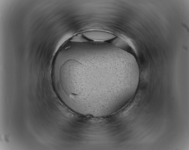 X0000091351146200708241240