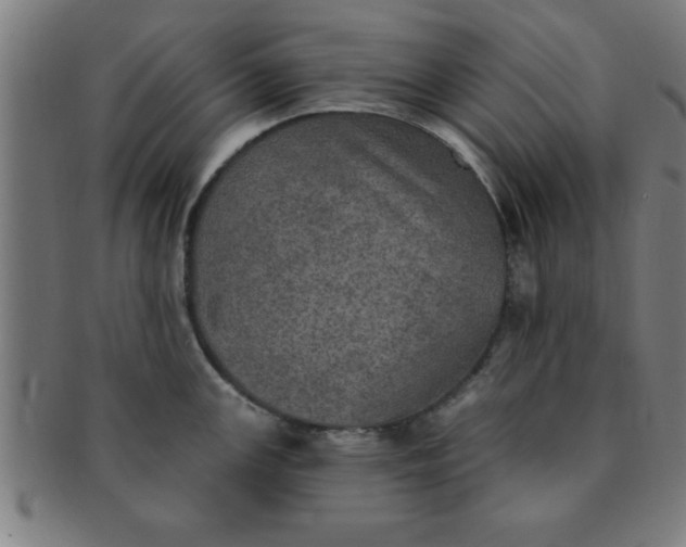 X0000091351147200708241240