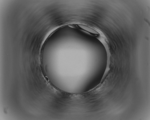 X0000091351148200708241240