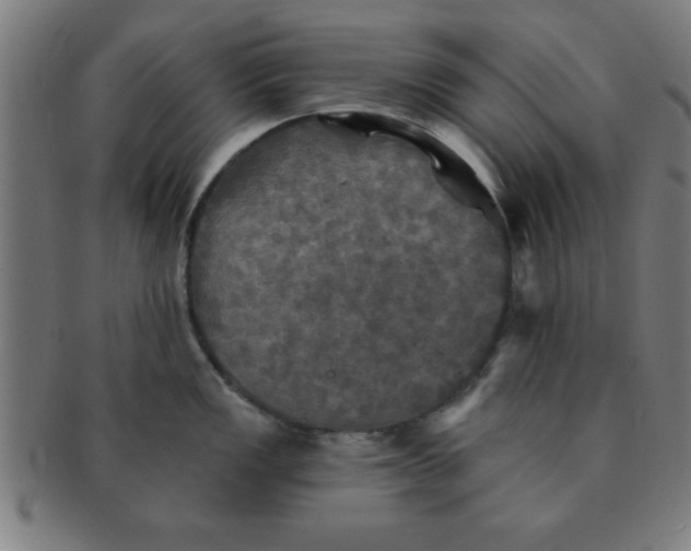 X0000091351149200708241241