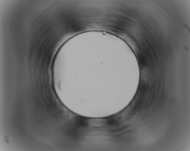 X0000091351150200708241241