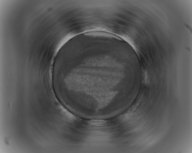 X0000091351151200708241241