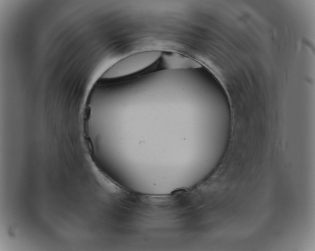 X0000091351152200708241241