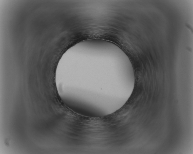 X0000091351153200708241240