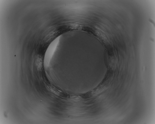 X0000091351154200708241240