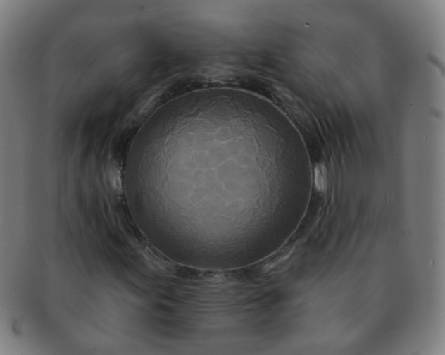X0000091351155200708241240