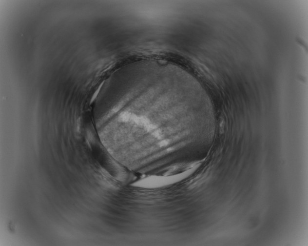 X0000091351156200708241240