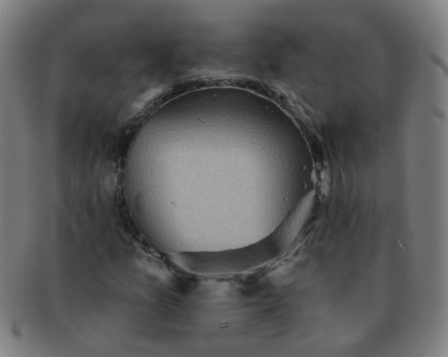 X0000091351157200708241240