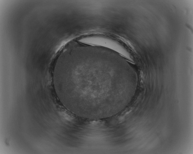 X0000091351160200708241240