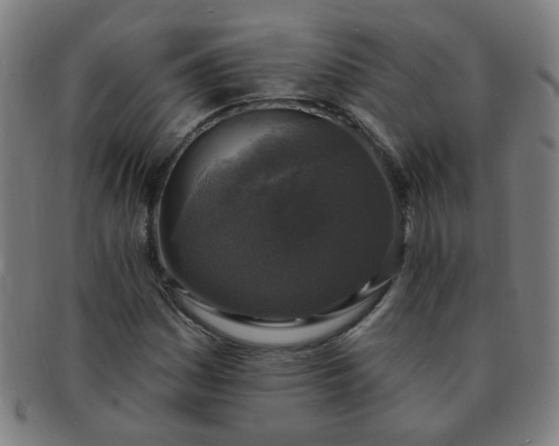 X0000091351161200708241240