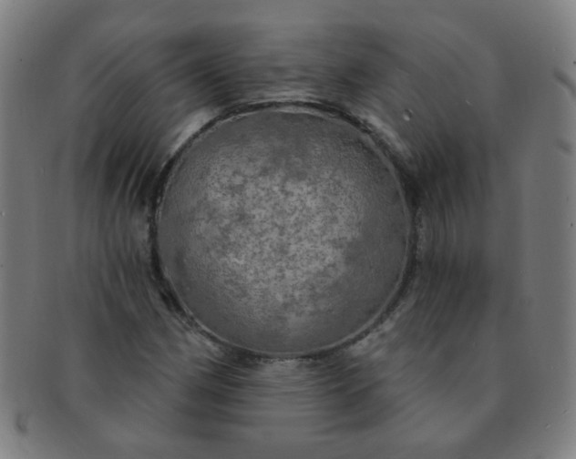 X0000091351162200708241240