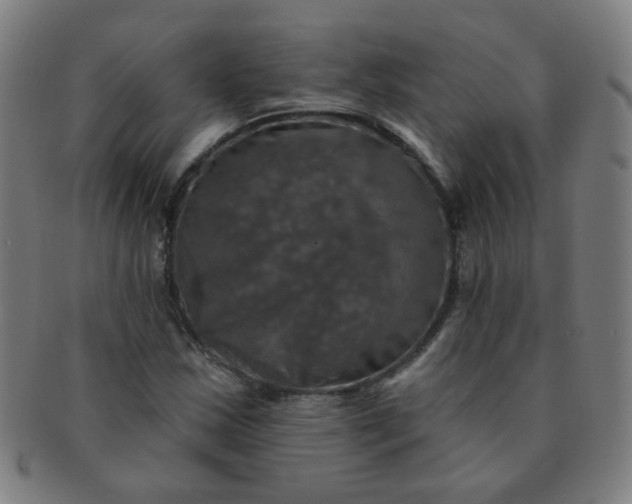 X0000091351163200708241240