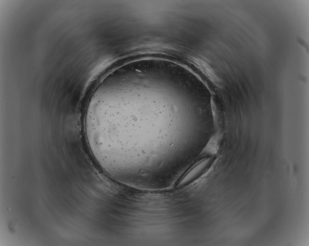 X0000091351164200708241240
