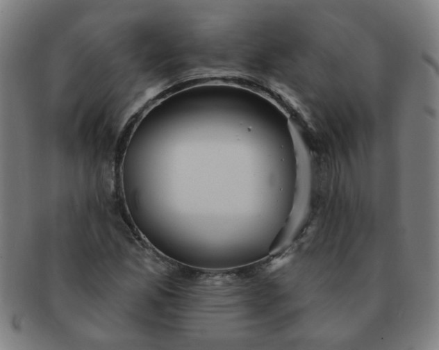 X0000091351165200708241240