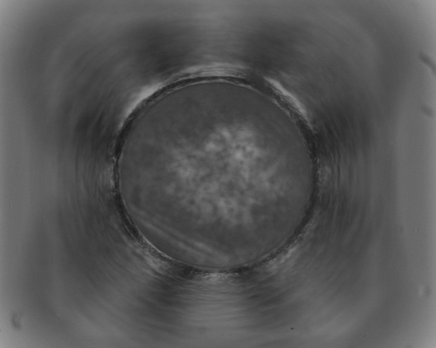 X0000091351166200708241240