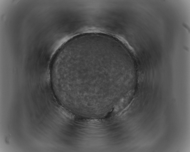 X0000091351167200708241240