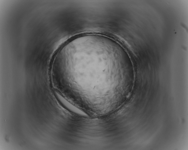 X0000091351168200708241240