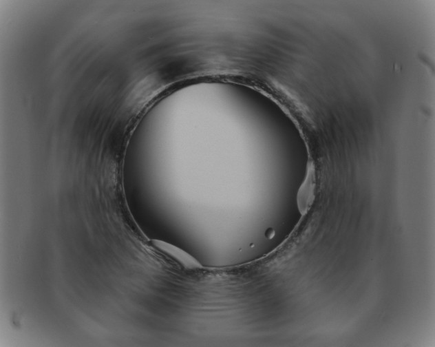 X0000091351169200708241240