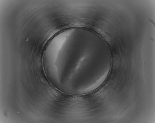 X0000091351170200708241239
